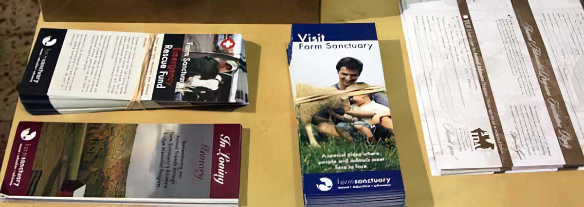 Brochures and Flyers